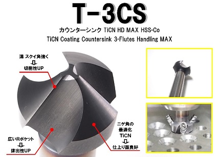 T 3CS2